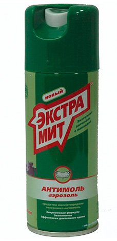 Як позбутися від молі в квартирі