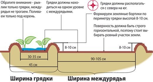 Як зробити вузькі грядки з Митлайдеру своїми руками (фото і відео інструкція)?