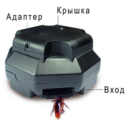 Електричні знищувачі комах та відгуки про їх застосування