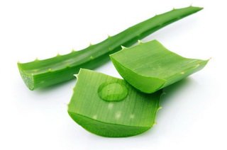 Як лікувати розтяжки на шкірі домашніми засобами