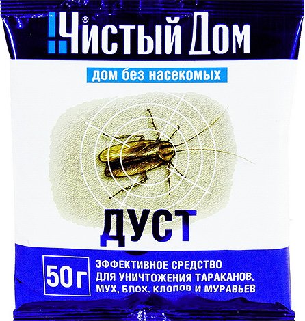 Личинки бліх і їх фото