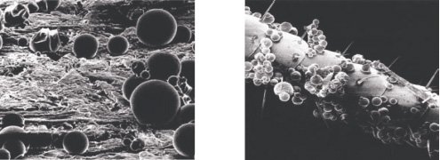 Засіб від тарганів Гьотте чи все таки Get? Який препарат придбати, а також трохи відгуків