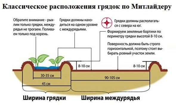 Особливості ведення городу по системі Митлайдера