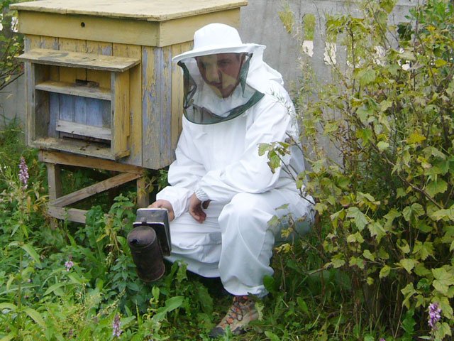 Огляд костюма бджоляра, його особливості та комплектуючі деталі з фото