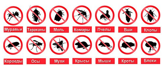 Ультразвукові відлякувачі комах і гризунів, а також відгуки про їх використання