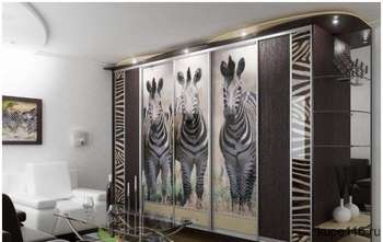 Види дверей для шафи, механізми відкривання