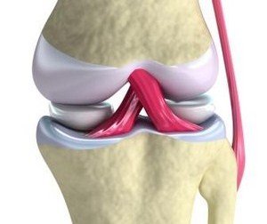 Чому виникає біль в коліні при ходьбі Чому виникає біль в коліні при ходьбі