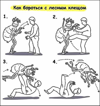Позбавляємо собаку від кліщів