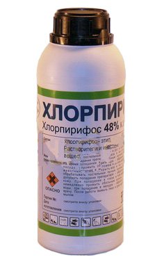 Як убити постільних клопів і їх яйця