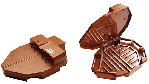 Знищення комах в квартирі: що важливо знати про цю процедуру