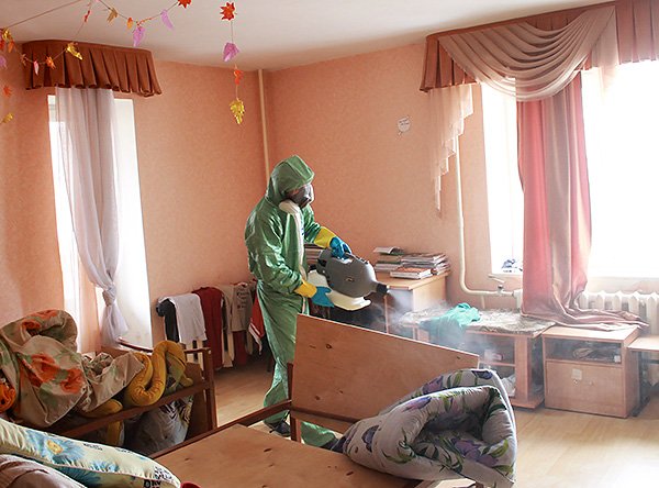 Зондер від клопів і відгуки про застосування цього засобу (а також де його можна купити)