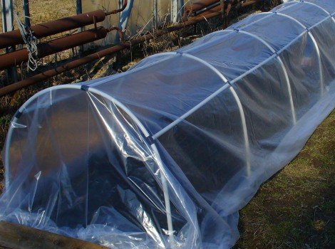 Як самостійно зробити на дачі парник?