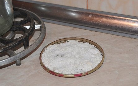 Руді або червоні мурахи в квартирі: що робити з ними і які причини їх появи