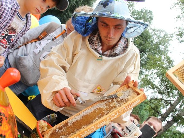 Огляд бджільництва в Тюменській області та інших регіонах країни