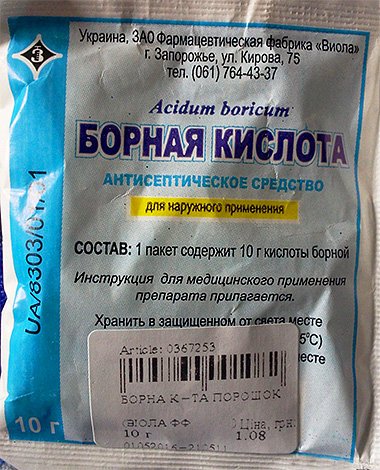 Кошти від ос і шершнів: як і чим можна ефективно вбити цих комах