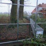 Двері для кішки : типи проходів для тварин