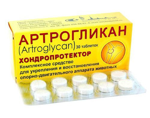 Хондропротектори для кішок: призначення та необхідність застосування