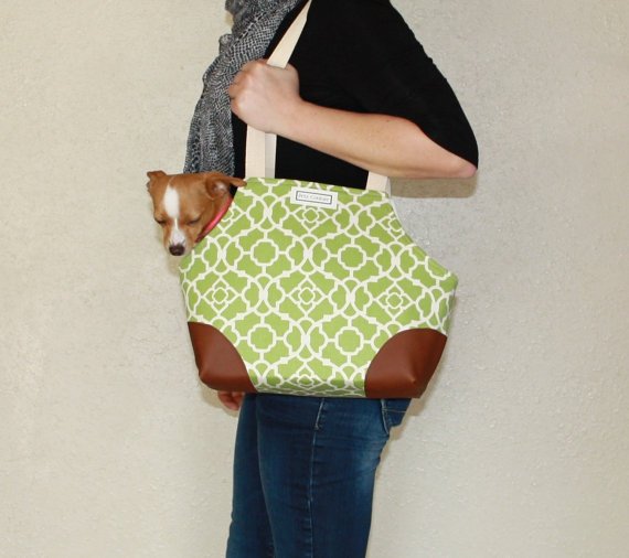 Сумка переноска для собак: огляд різновидів