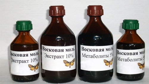 Екстракт воскової молі і відгуки про його застосування