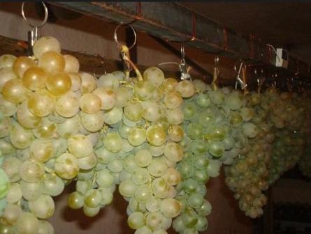 Як зберегти виноград