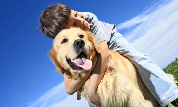 Яку собаку краще завести в квартирі: поради починаючому власнику