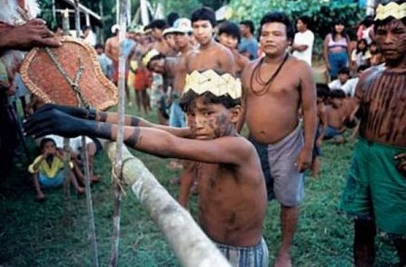 Цікаві факти про мурахах