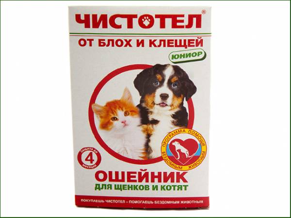 Чистотіл   універсальний засіб для кішок