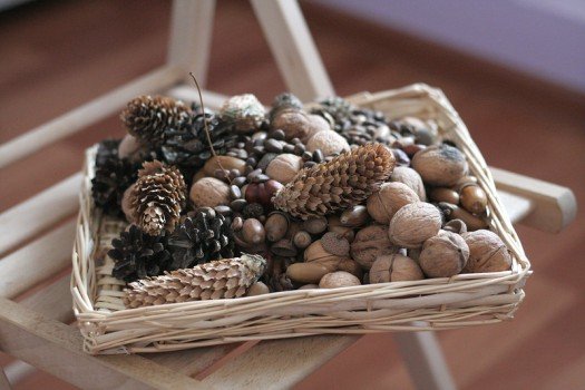 Що слід знати про годування птахів взимку?