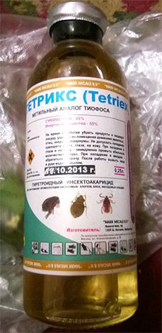 Засоби від комах в будинку: огляд ефективних препаратів