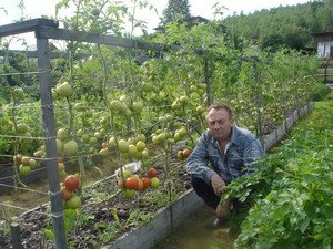 Особливості ведення городу по системі Митлайдера