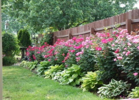 Дачний паркан своїми руками