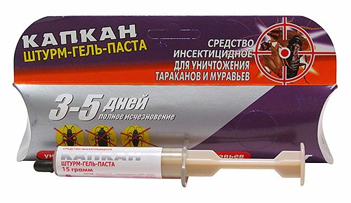 Отрута для домашніх мурашок в квартирі: чим їх краще труїти Отрута для домашніх мурашок в квартирі: чим їх краще труїти