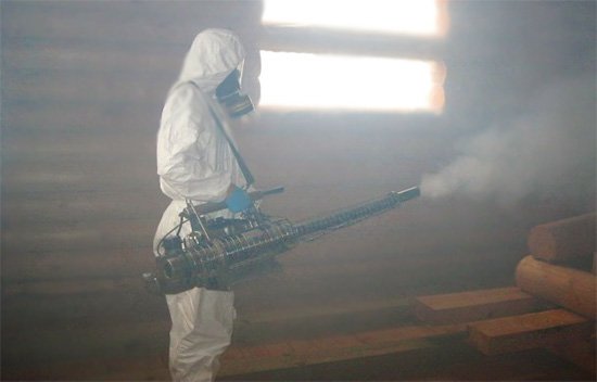 Обробка приміщень від комах: ціни, відгуки та особливості процедури