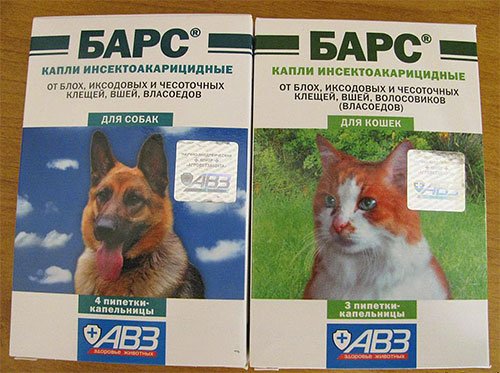 Чого бояться блохи і що вони не люблять найбільше