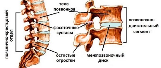 Спондилоартроз попереково крижового відділу хребта: симптоми і лікування