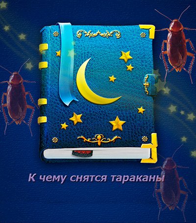 До чого сняться таргани: дивимося в сонник