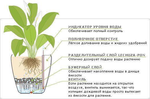 Як можна зробити дренаж для кімнатних рослин своїми руками?