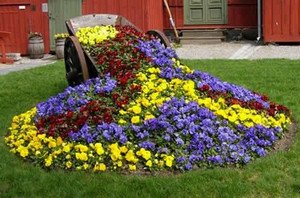 Рекомендації як прикрасити садовий ділянка своїми руками (фото і відео поради)