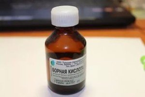 Борна кислота від тарганів з яйцем: рецепт, застосування як труїти, рецепт приготування, відгуки