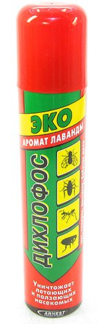 Як позбутися від шершнів і ос: швидко і безпечно