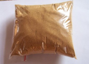 Гриб кордицепс – властивості, застосування, склад, дозування та протипоказання