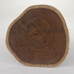 Двері венге в інтерєрі : як вибрати