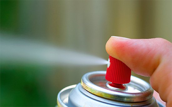 Як і чим морити тарганів Як і чим морити тарганів