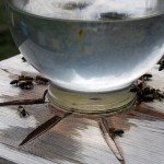 Саморобна поїлка для бджіл: огляд та виготовлення