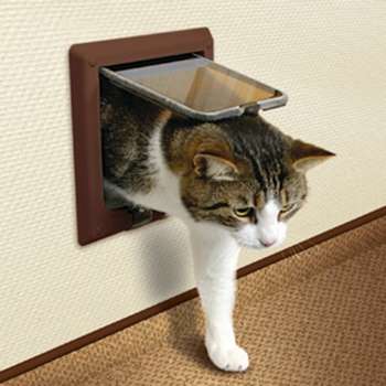 Двері для кішки своїми руками