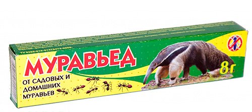 Знищення домашніх мурашок в квартирі Знищення домашніх мурашок в квартирі