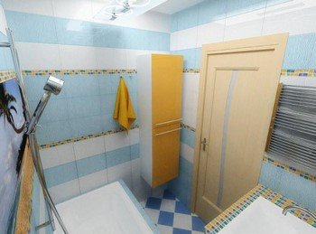 Сантехнічні двері в туалет і двері для кішки