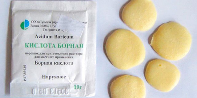 Чого бояться таргани і який запах не люблять таргани в квартирі?