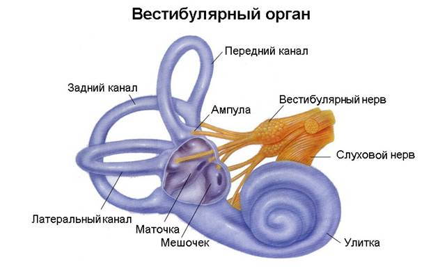 Доброякісне позиційне запаморочення