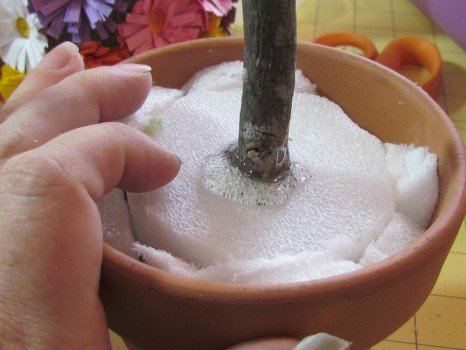 Топіарі кавове дерево своїми руками Топіарі кавове дерево своїми руками